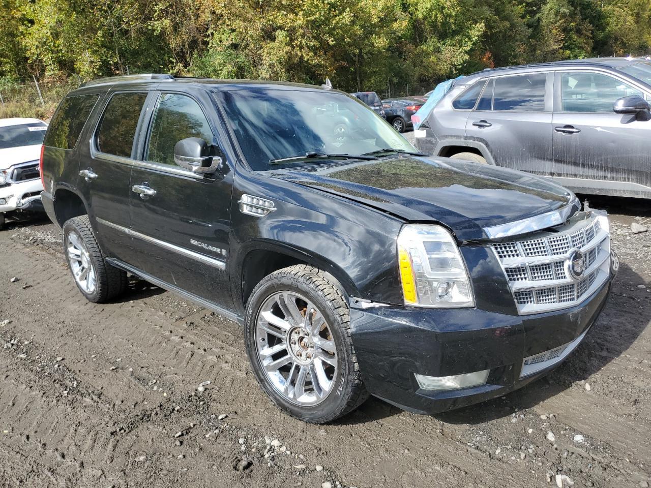 Новый контейнер 26.06.2025