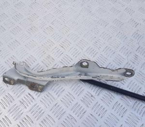 Петля капота левая Ford Expedition 1998-2006 F65Z 16797 AG; 1L34 16801 AA