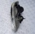 Фара передняя правая Chevrolet Tahoe 1999-2006 16526134; 16524850; 16524404; 16525100